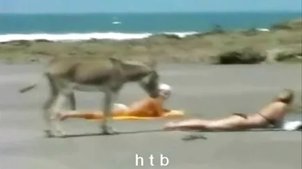 Cô gái tóc vàng và kiểm tra anh co giao dit nhau voi hoc sinh