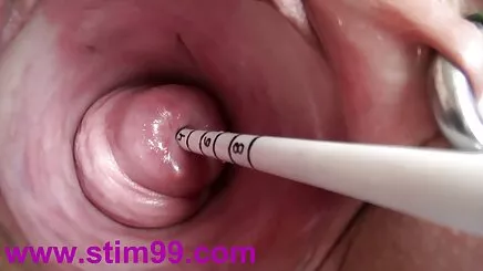 Người hà lan em bé sex đại học chết tiệt